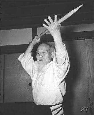 Il Takemusu Aiki o Iwama Ryu